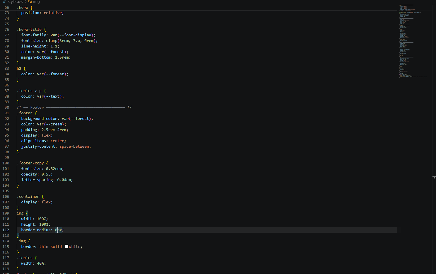 picture of CSS file
